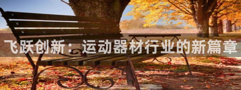 凯捷体育平台注册要钱吗：飞跃创新：运动器材行业的新篇章