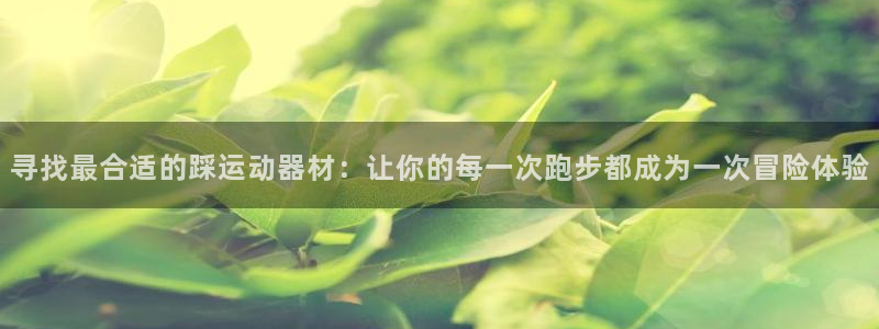 德国凯捷体育集团