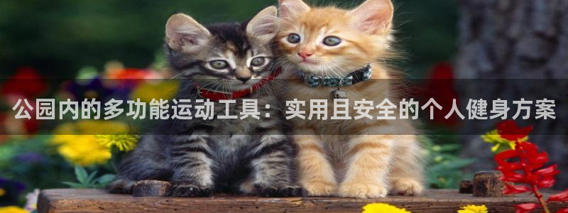 凯捷体育：公园内的多功能运动工具：实用且安全的个人健