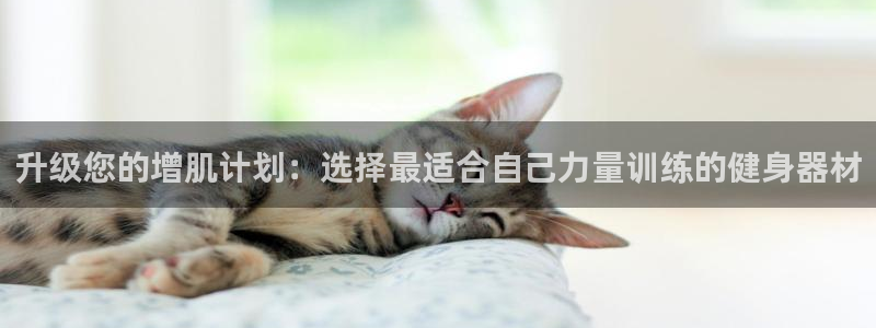 凯捷体育官网：升级您的增肌计划：选择最适合自己力量训练的健身