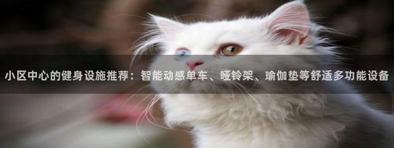 注册凯捷体育：小区中心的健身设施推荐：智能动感单车、