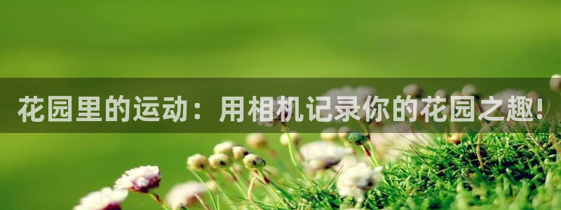 凯捷体育娱乐：花园里的运动：用相机记录你的花园之趣!