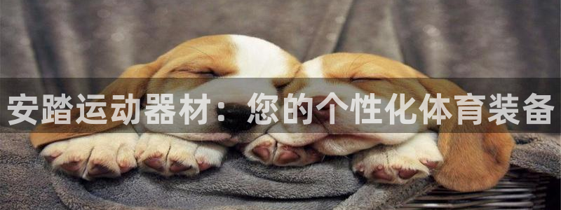 凯捷体育招商：安踏运动器材：您的个性化体育装备