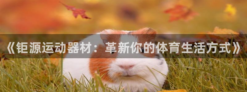 凯捷体育娱乐首页官网下载：《钜源运动器材：革新你的体育生活方