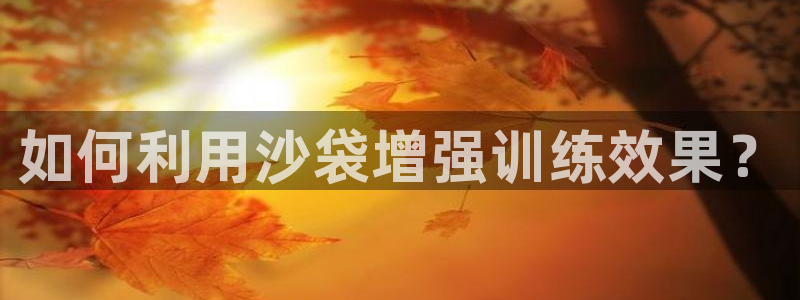 凯捷体育集团官网首页：如何利用沙袋增强训练效果？