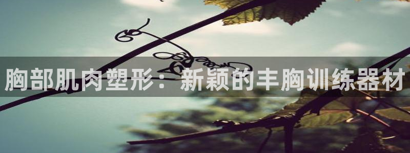 凯捷体育集团官网首页：胸部肌肉塑形：新颖的丰胸训练器