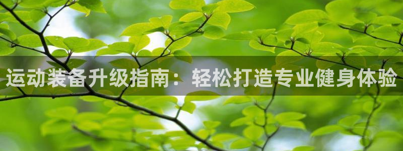 凯捷体育集团官网网址：运动装备升级指南：轻松打造专业健身体验