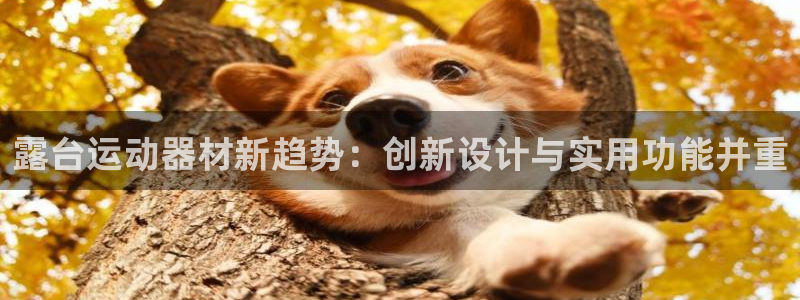 凯捷体育平台注册流程图：露台运动器材新趋势：创新设计